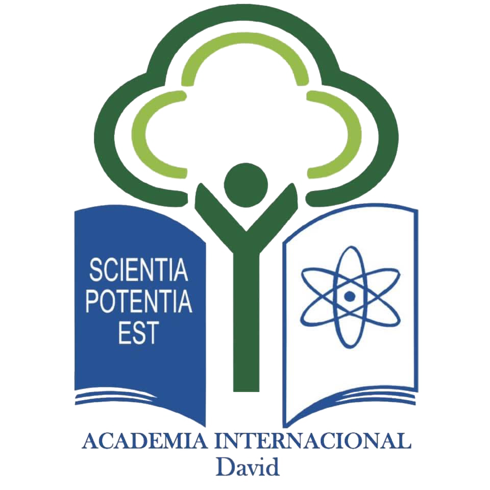 Logo Academia Internacional
David y Boquete